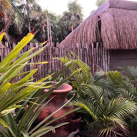 Amana Tulum , Beach Front Hotel