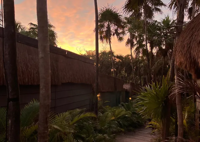 Amana , Front Tulum