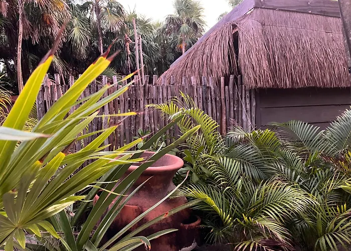 Amana , Front * Tulum