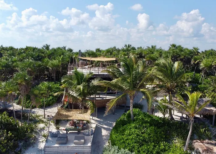 Amana , Front * Tulum